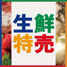 生鮮特売【2/6~2/8】