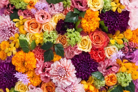 ショップイメージ1