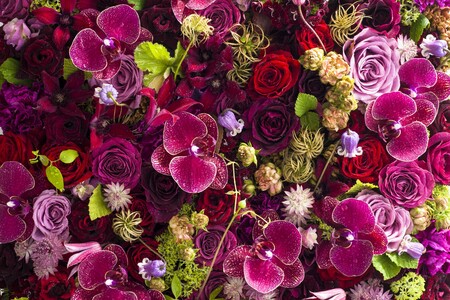 ショップイメージ2