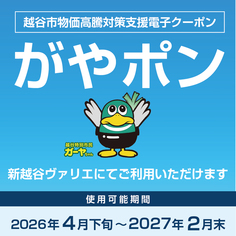 越谷市物価高騰対策支援電子クーポンのご案内