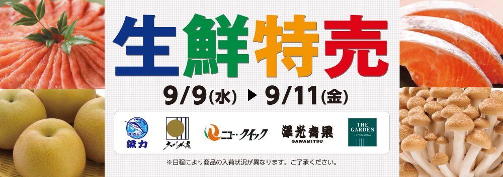 生鮮特売【9/9～9/11】
