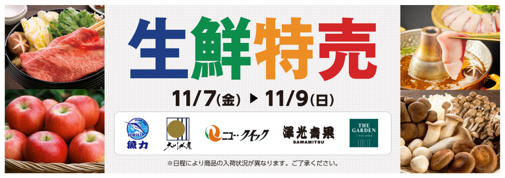 生鮮特売【11/7～11/9】